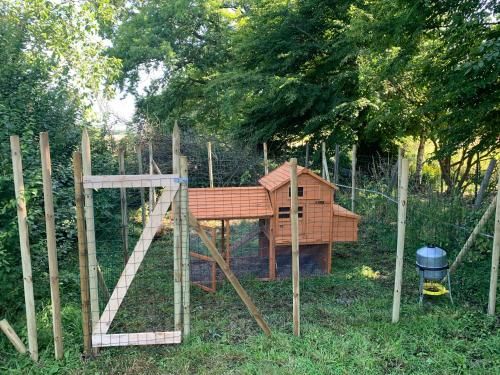 Outdoor Pictures 24