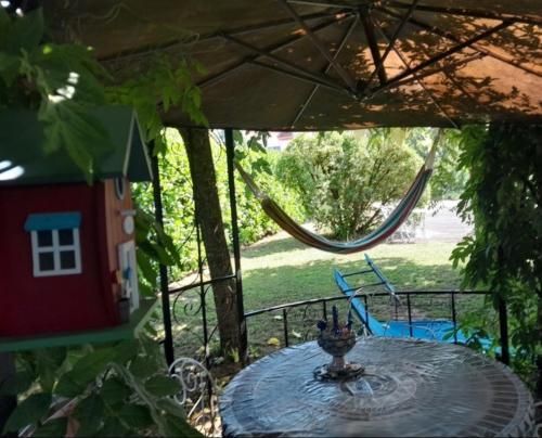 Outdoor Pictures 15