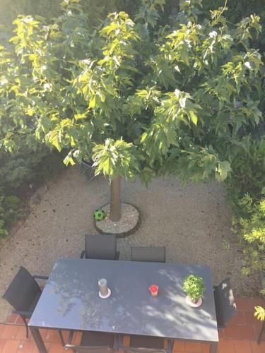 Outdoor Pictures 11
