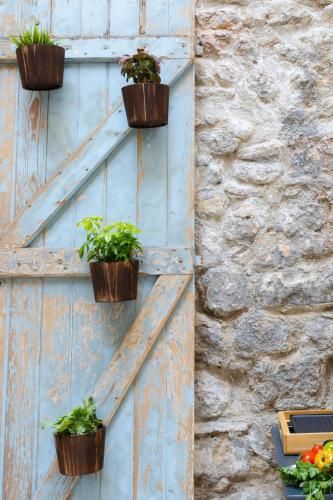 Outdoor Pictures 22