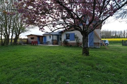 Outdoor Pictures 1
