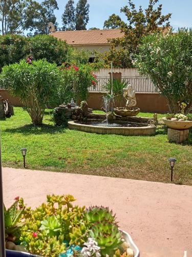 Outdoor Pictures 5