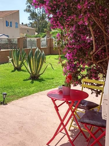 Outdoor Pictures 7