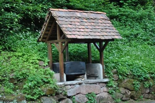 Outdoor Pictures 8