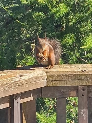 Outdoor Pictures 23