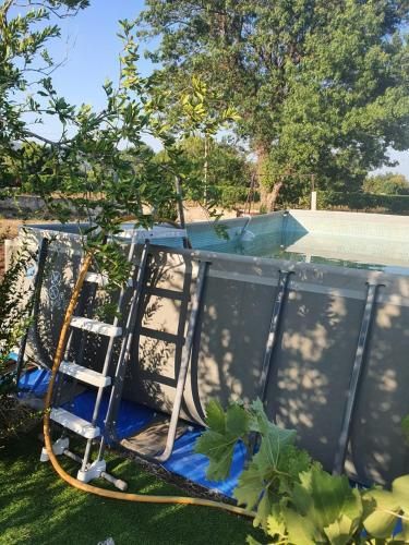 Outdoor Pictures 9
