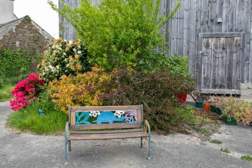 Outdoor Pictures 24