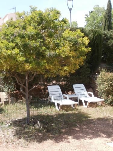 Outdoor Pictures 10