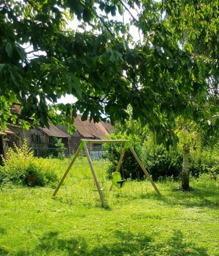 Outdoor Pictures 3