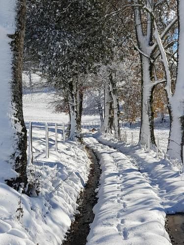 Outdoor Pictures 6