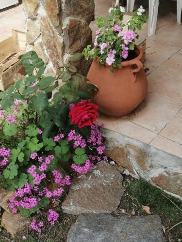 Outdoor Pictures 7