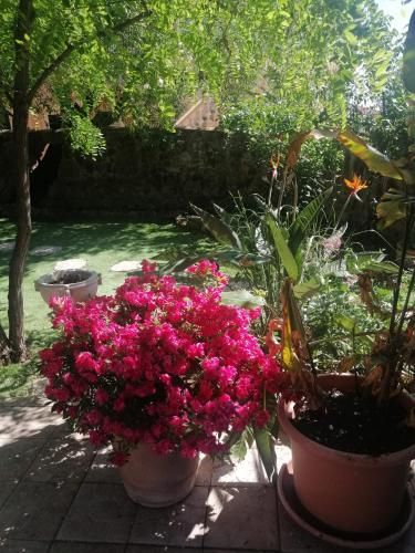 Outdoor Pictures 22