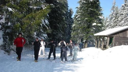 Outdoor Pictures 12