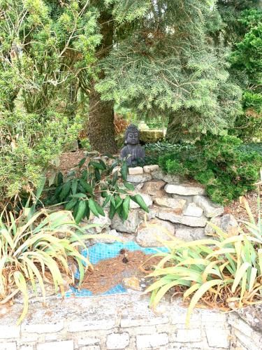 Outdoor Pictures 19