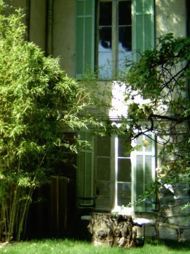 Outdoor Pictures 10