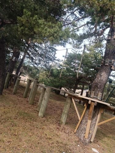 Outdoor Pictures 3