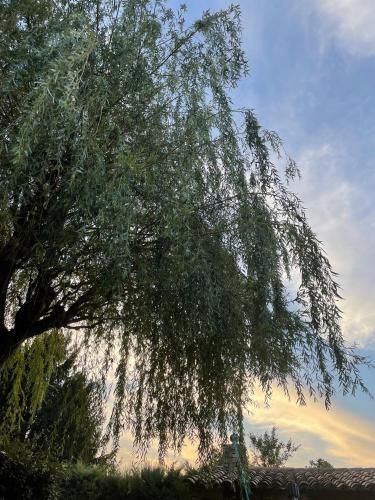 Outdoor Pictures 21