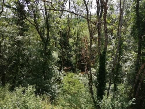 Outdoor Pictures 6