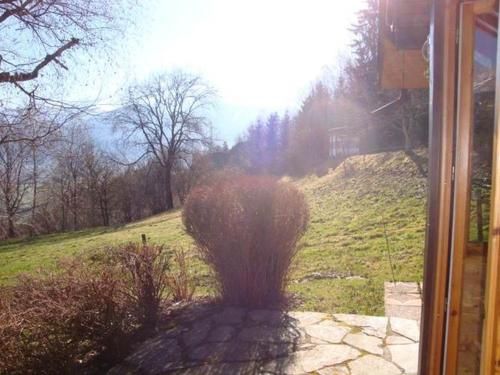 Outdoor Pictures 3