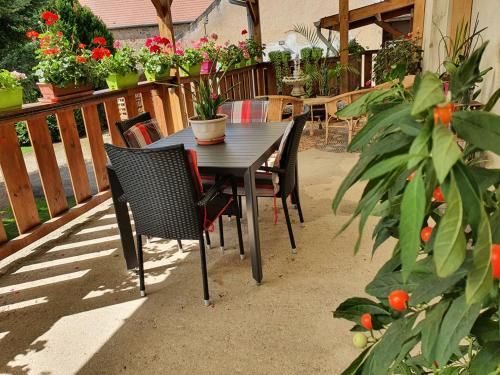 Outdoor Pictures 9
