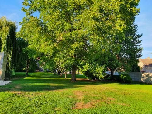 Outdoor Pictures 24