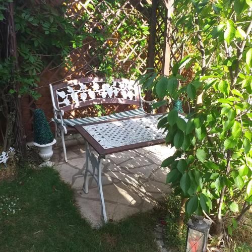 Outdoor Pictures 11