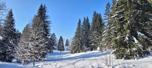 Outdoor Pictures 1