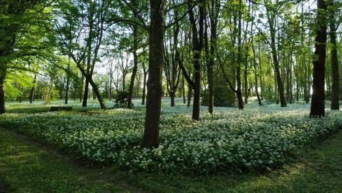 Outdoor Pictures 22