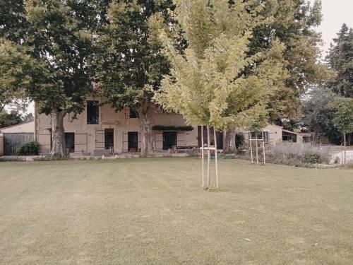 Outdoor Pictures 10
