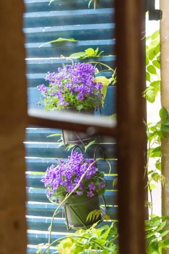 Outdoor Pictures 12