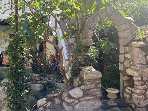 Outdoor Pictures 9