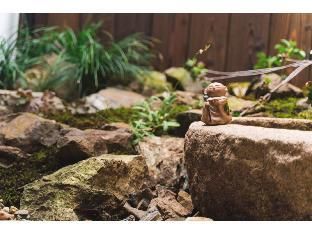 Outdoor Pictures 20