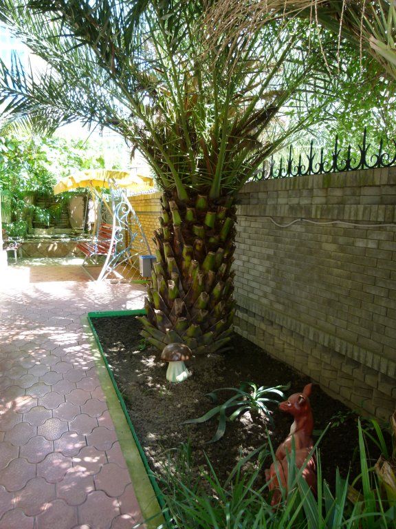 Outdoor Pictures 7