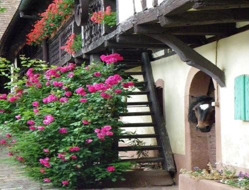 Maison dhotes "Au Fil du Temps"