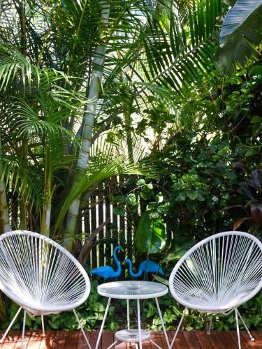 Outdoor Pictures 21