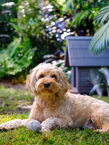 Outdoor Pictures 22