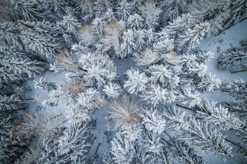 Outdoor Pictures 22