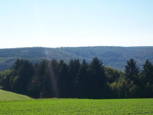 Outdoor Pictures 11