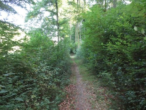 Outdoor Pictures 16