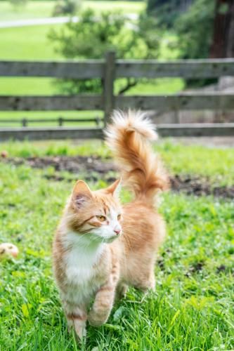 Outdoor Pictures 24