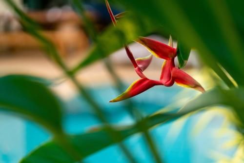 Outdoor Pictures 20
