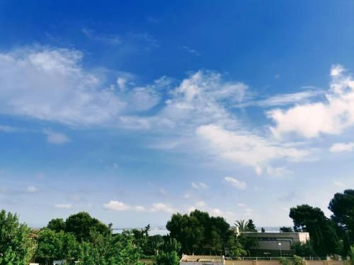 Outdoor Pictures 21