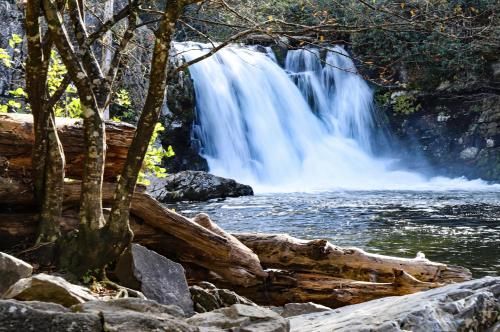 Outdoor Pictures 21