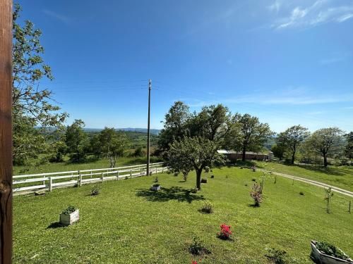 Outdoor Pictures 15