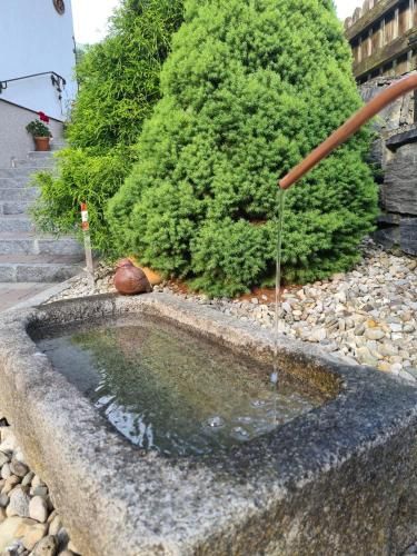 Outdoor Pictures 15