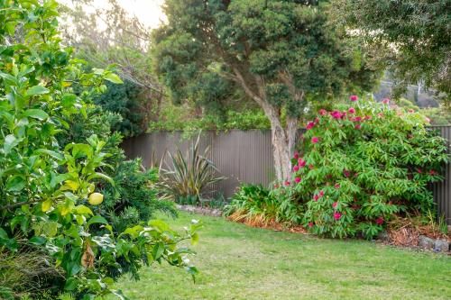 Outdoor Pictures 7