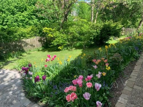 Outdoor Pictures 23