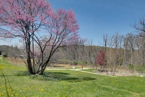 Outdoor Pictures 24