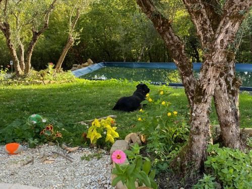 Outdoor Pictures 20
