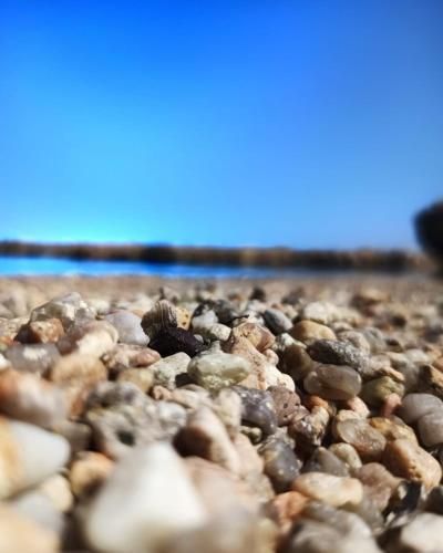 Outdoor Pictures 9